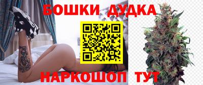 тгк Новозыбков