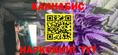 сатива Нальчик