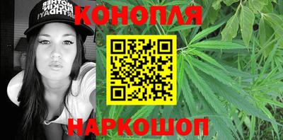 сатива Нальчик