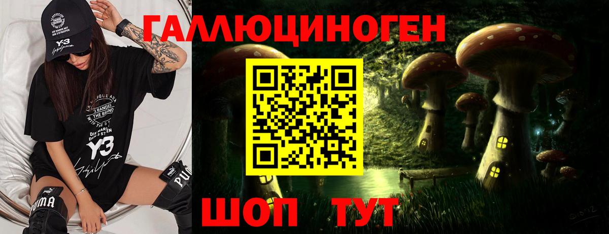 Узловая  Галлюциногенные грибы Psilocybine cubensis  Вход с VPN 